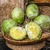 Atom Göbek Salata Adet - Panayir Gourmet