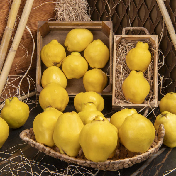 Ayva - Panayir Gourmet