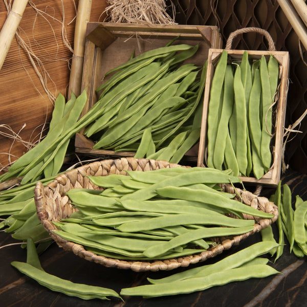 Çalı Fasulye - Panayir Gourmet