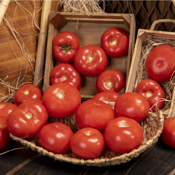 Çanakkale Domatesi - Panayir Gourmet