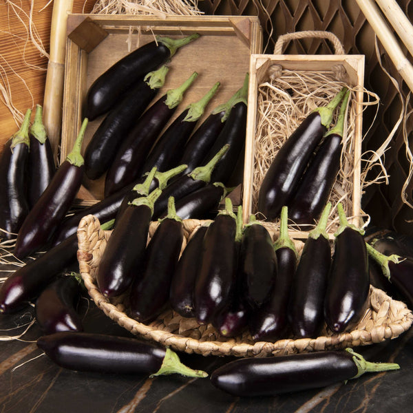 Patlıcan - Panayir Gourmet