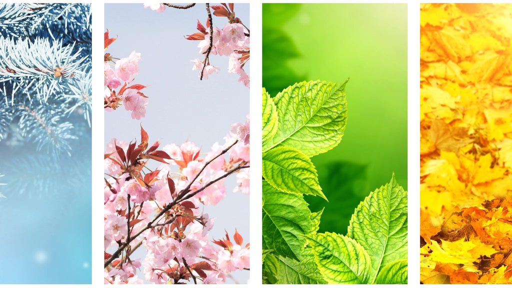 Mevsiminde Beslenme: Hangi Mevsimde Hangi Ürünler Tüketilmeli?