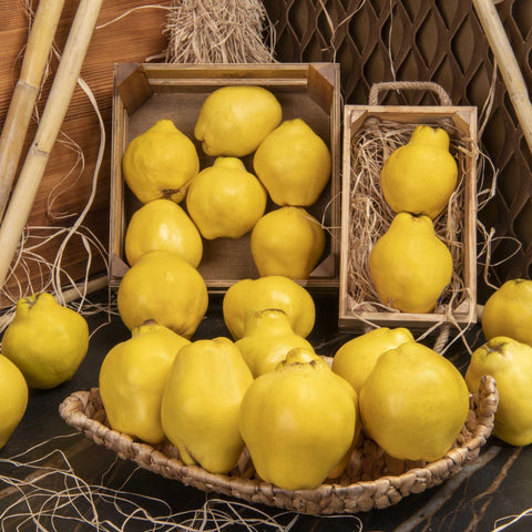 Ayva - Panayir Gourmet