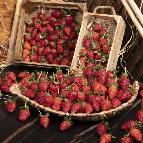 Çilek - Panayir Gourmet