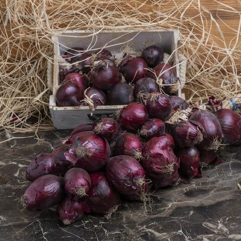 Kırmızı Soğan - Panayir Gourmet